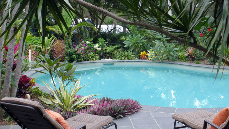 A backyard swimming pool oasis